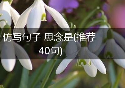 仿写句子 思念是(推荐40句)