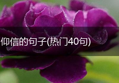 仰信的句子(热门40句)