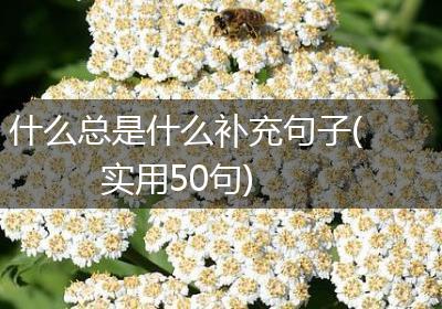 什么总是什么补充句子(实用50句)