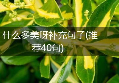 什么多美呀补充句子(推荐40句)