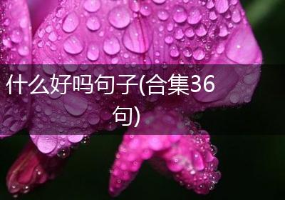 什么好吗句子(合集36句)