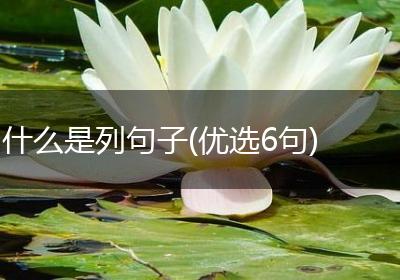 什么是列句子(优选6句)