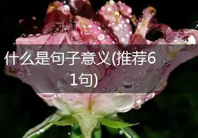 什么是句子意义(推荐61句)