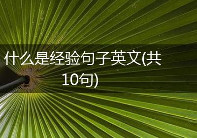 什么是经验句子英文(共10句)