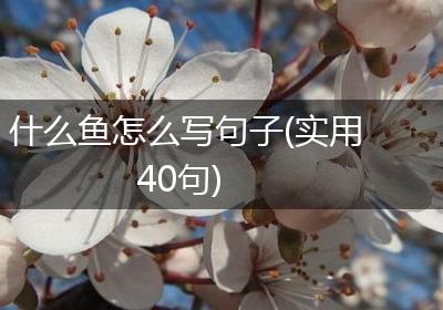 什么鱼怎么写句子(实用40句)