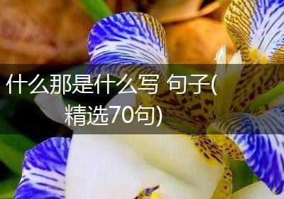 什么那是什么写 句子(精选70句)