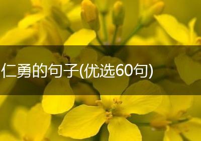 仁勇的句子(优选60句)
