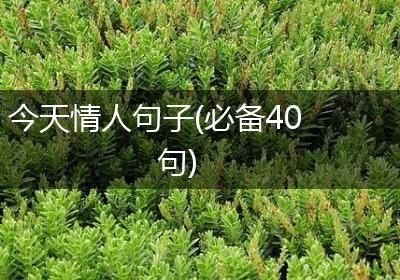 今天情人句子(必备40句)