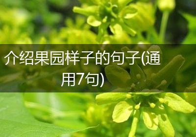 介绍果园样子的句子(通用7句)