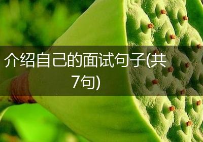 介绍自己的面试句子(共7句)