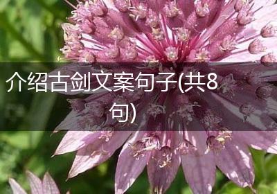 介绍古剑文案句子(共8句)