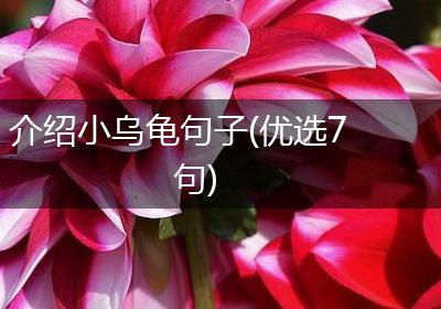 介绍小乌龟句子(优选7句)