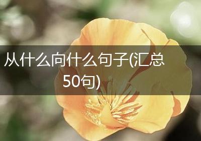从什么向什么句子(汇总50句)