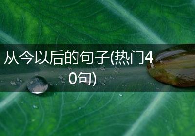 从今以后的句子(热门40句)