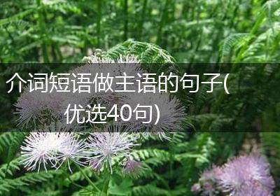 介词短语做主语的句子(优选40句)