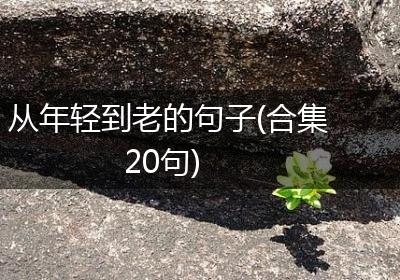 从年轻到老的句子(合集20句)