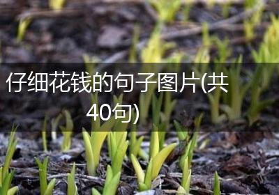 仔细花钱的句子图片(共40句)