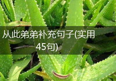 从此弟弟补充句子(实用45句)