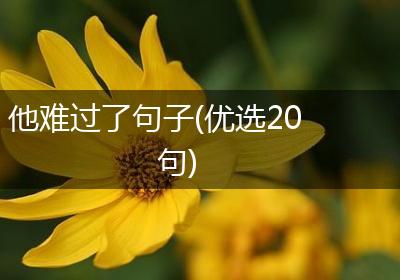 他难过了句子(优选20句)
