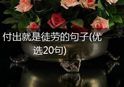 付出就是徒劳的句子(优选20句)