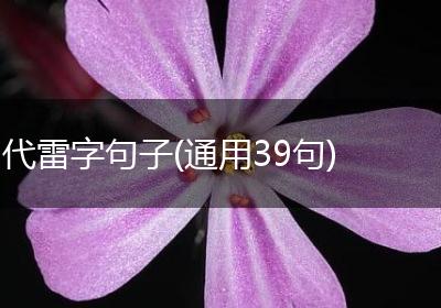 代雷字句子(通用39句)