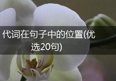 代词在句子中的位置(优选20句)