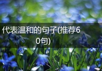 代表温和的句子(推荐60句)