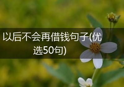 以后不会再借钱句子(优选50句)