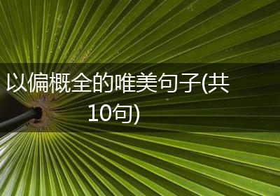 以偏概全的唯美句子(共10句)