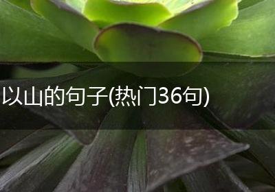 以山的句子(热门36句)