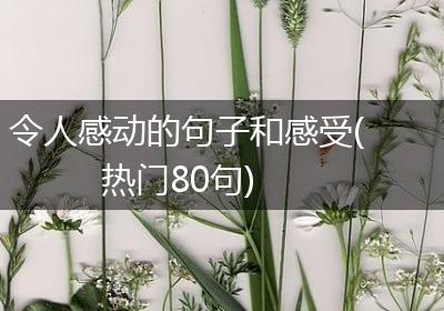 令人感动的句子和感受(热门80句)