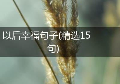 以后幸福句子(精选15句)