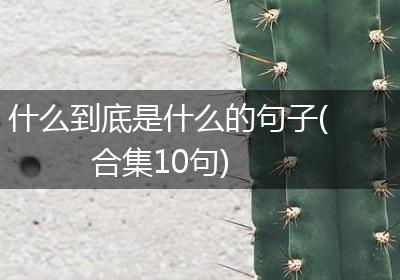 什么到底是什么的句子(合集10句)