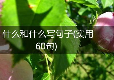 什么和什么写句子(实用60句)