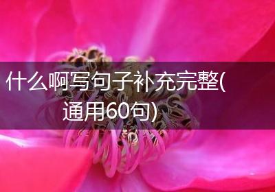 什么啊写句子补充完整(通用60句)