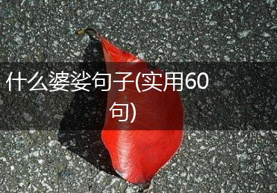 什么婆娑句子(实用60句)
