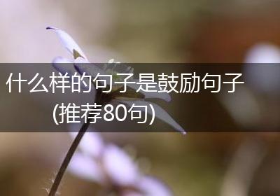 什么样的句子是鼓励句子(推荐80句)