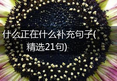 什么正在什么补充句子(精选21句)