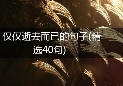 仅仅逝去而已的句子(精选40句)