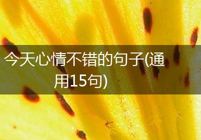 今天心情不错的句子(通用15句)