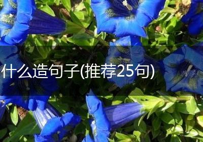 什么造句子(推荐25句)