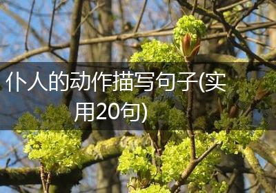 仆人的动作描写句子(实用20句)