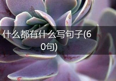 什么都有什么写句子(60句)