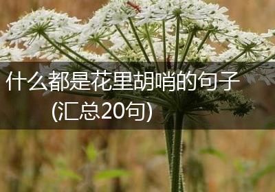 什么都是花里胡哨的句子(汇总20句)