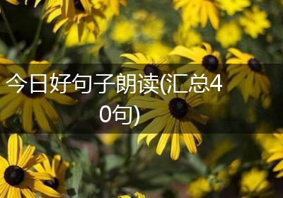 今日好句子朗读(汇总40句)