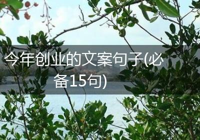 今年创业的文案句子(必备15句)