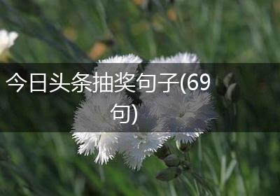 今日头条抽奖句子(69句)