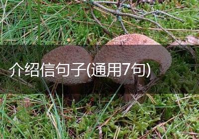 介绍信句子(通用7句)