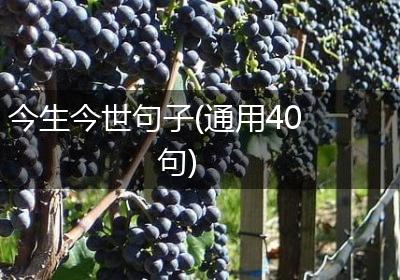 今生今世句子(通用40句)