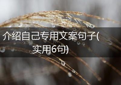 介绍自己专用文案句子(实用6句)